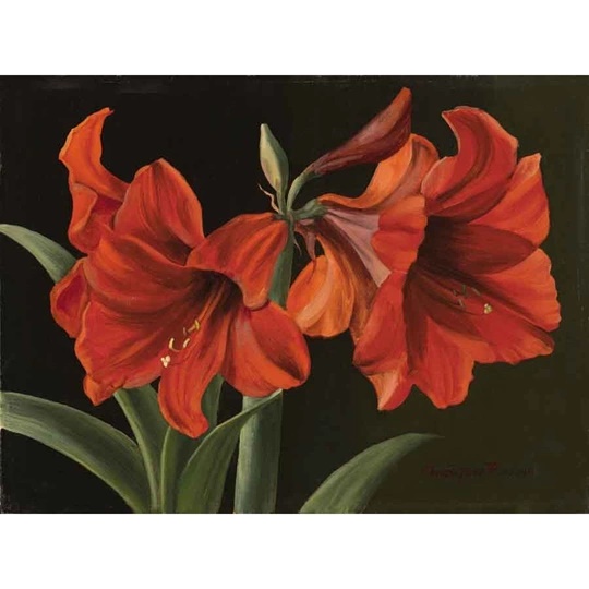 Red Trumpet Flowers