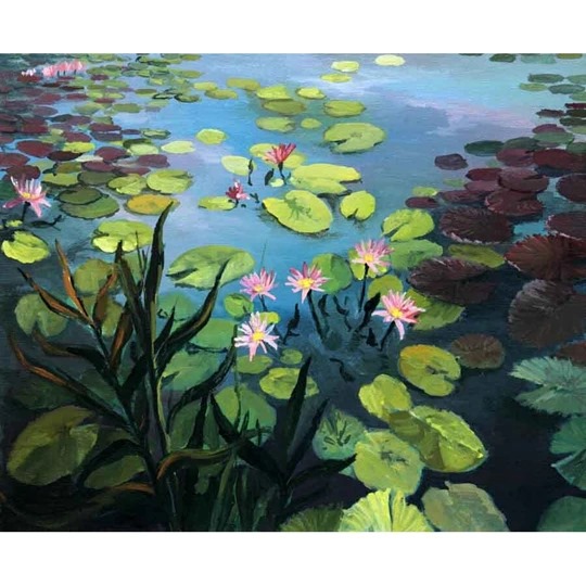 Lily Pond