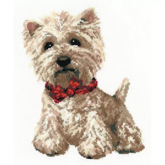 West Highland White