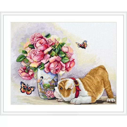 Bulldog and Butterflies