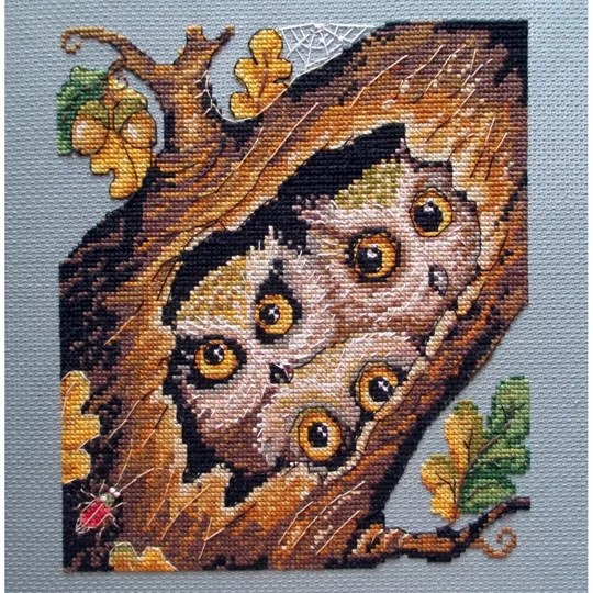 Owls