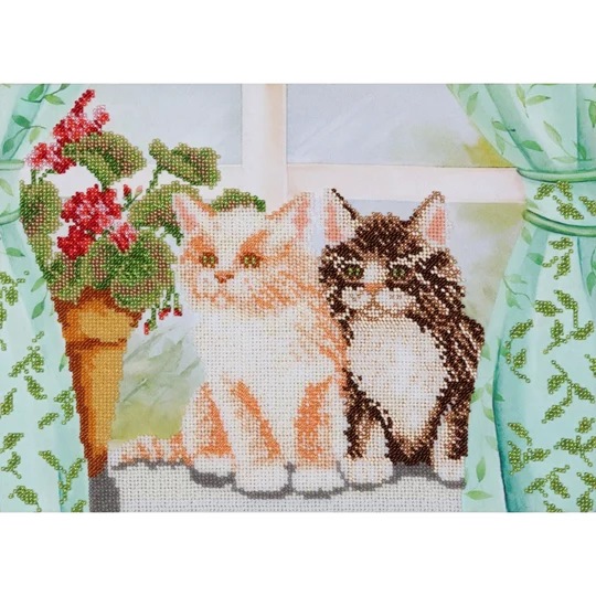 Kittens