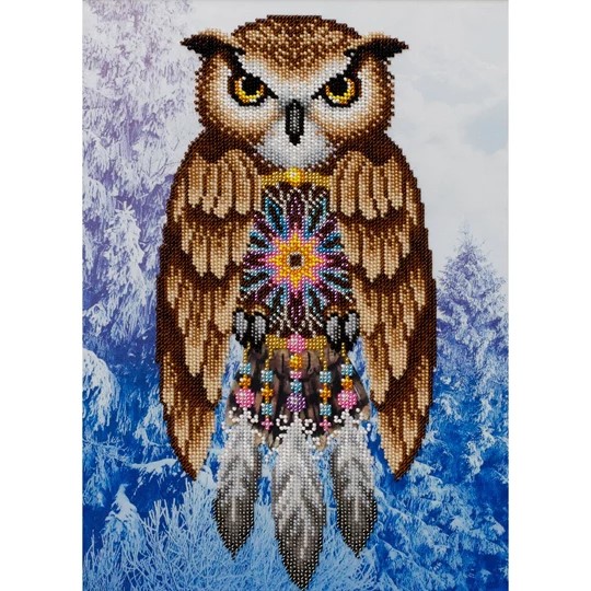 Dream Catcher Owl