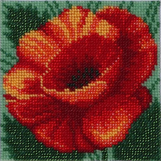 Red Poppy