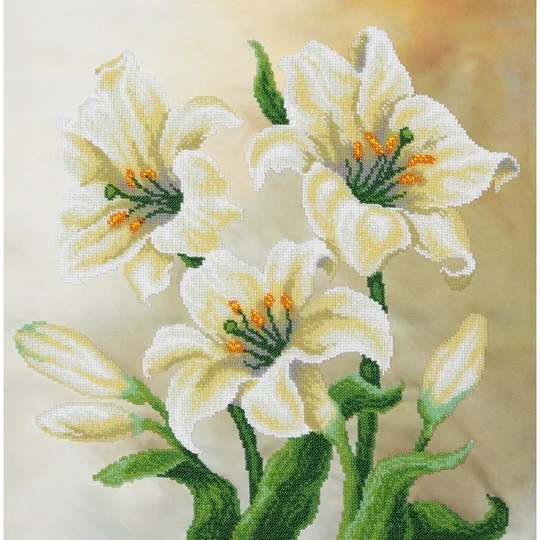 Lilies