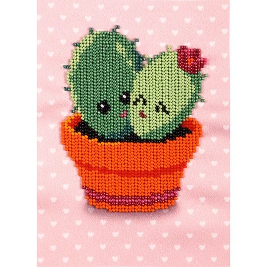 Cacti Paradise