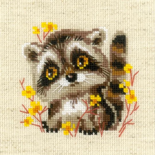 Little Racoon
