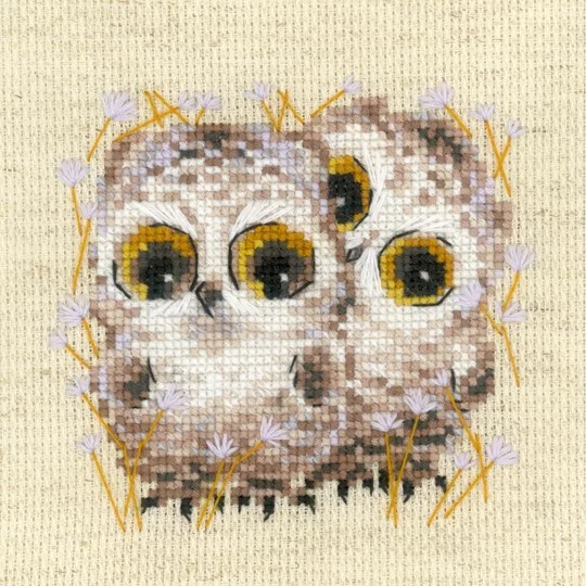Little Owls