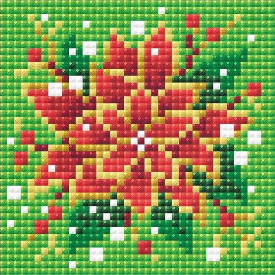 Poinsettia