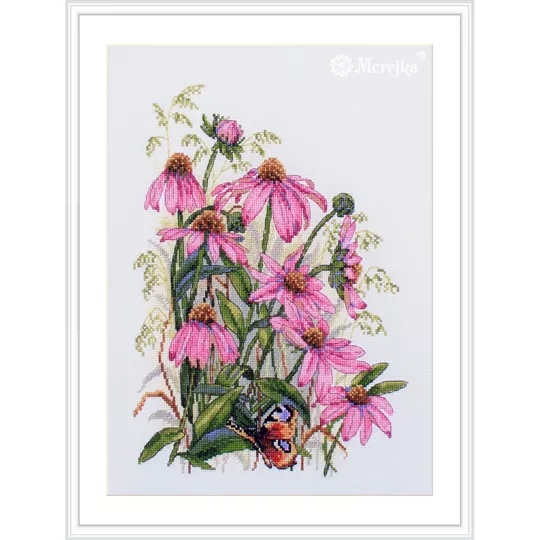 Coneflowers