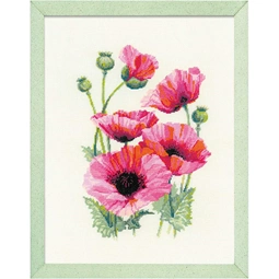 Pink Poppies