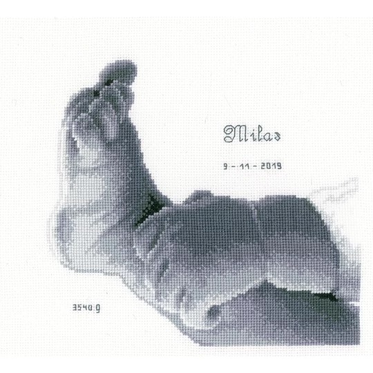 Little Baby Foot Sampler