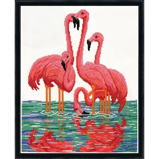 Flamingos