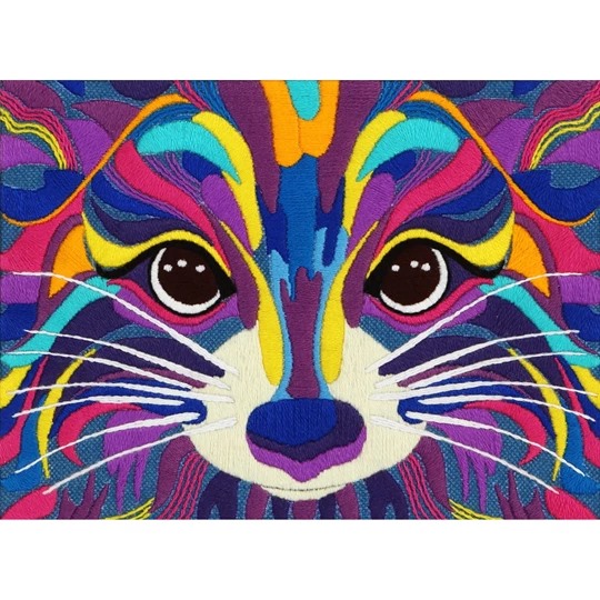 Raccoon