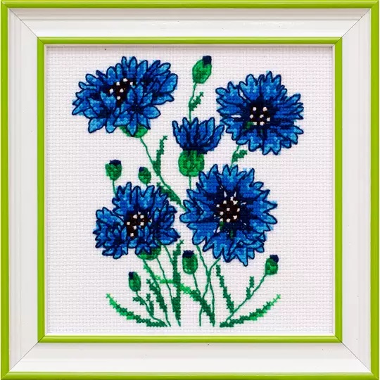 Cornflowers