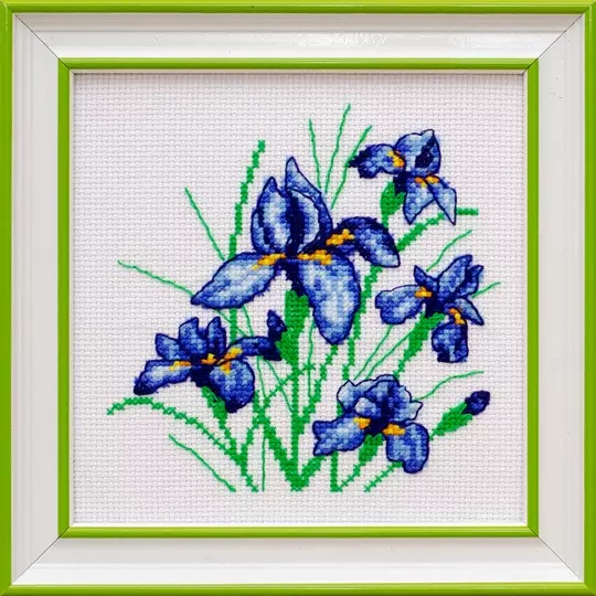 Irises