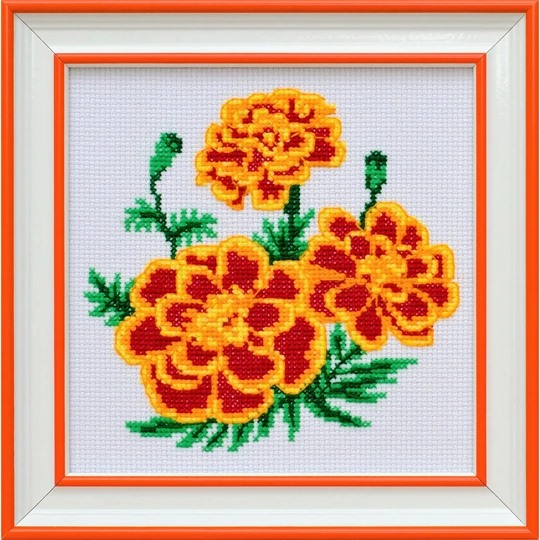 Marigold
