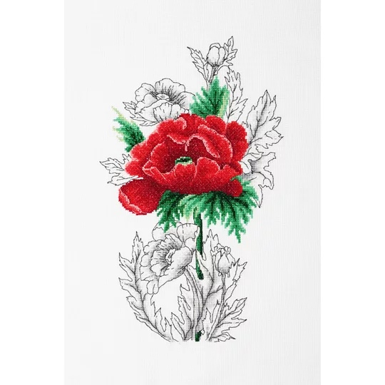 Red Poppy