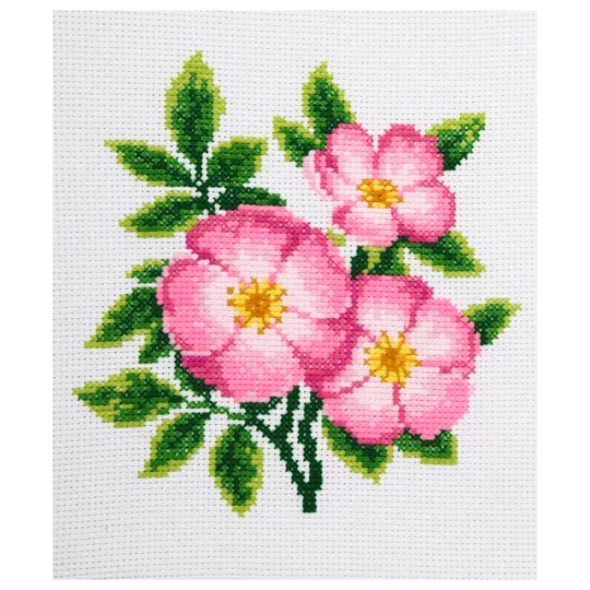 Dog Rose