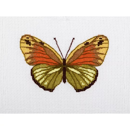 Green Butterfly