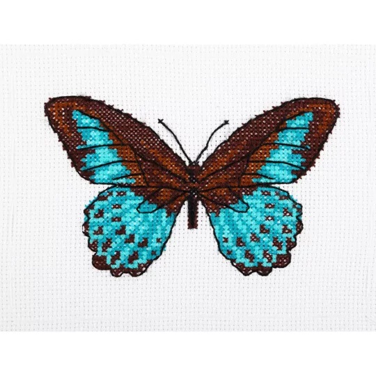 Turquoise Butterfly