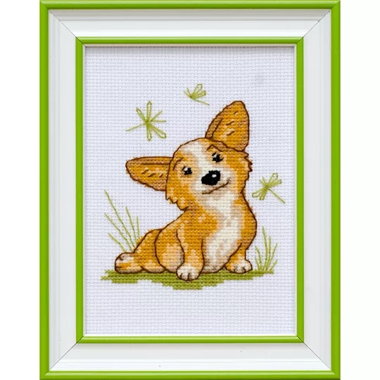 Corgi