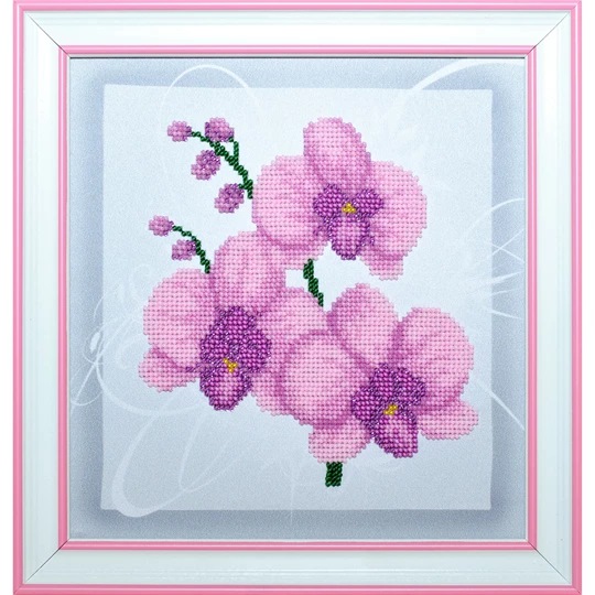 Lilac Orchid
