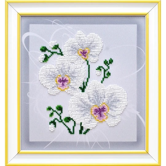 White Orchid