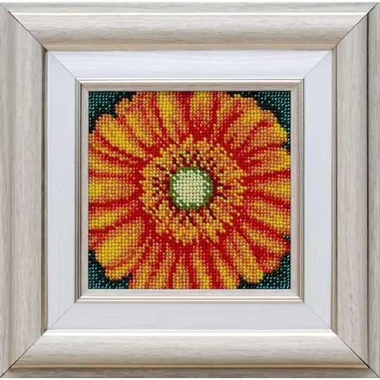 Orange Bloom