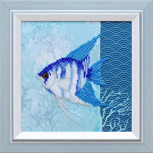 Underwater Beauty