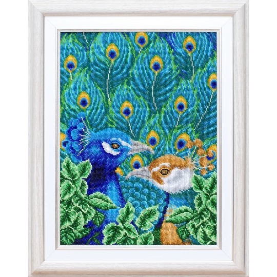 Bright Birds