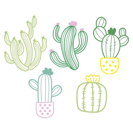 Cacti