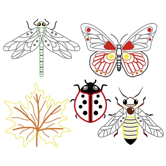 Insects
