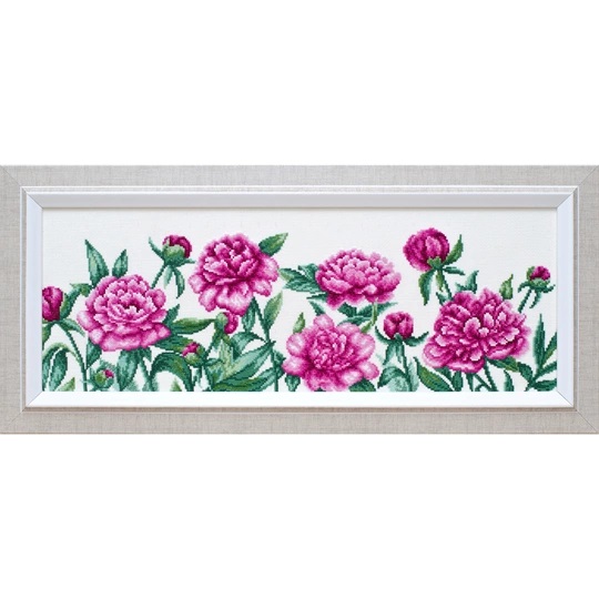 Peonies