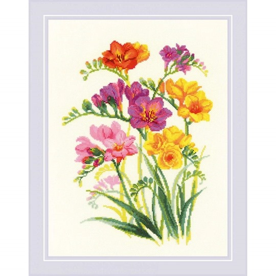 Fragrant Freesia