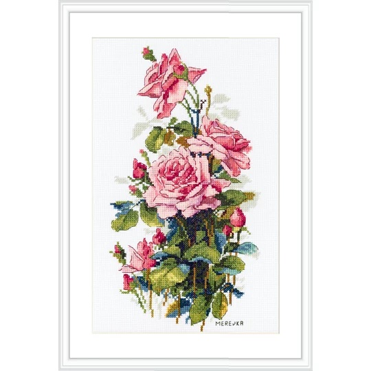 Pink Roses