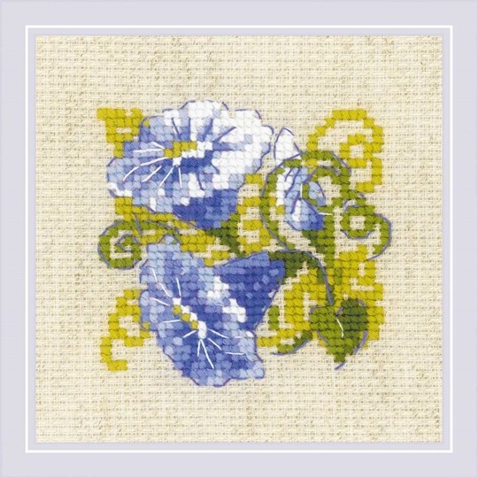 Purple Bindweed