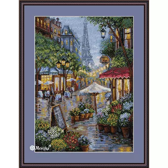 Rainy Paris