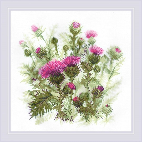 Thistle