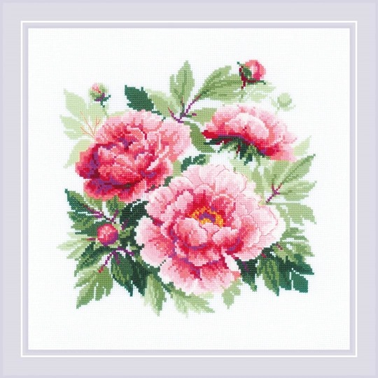 Tree Peony