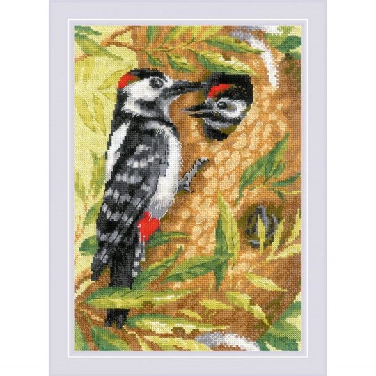 Woodpecker