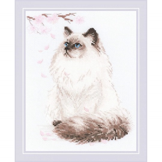 Meow-Zen