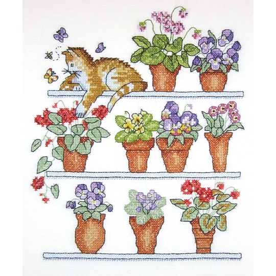 Cat on Shelf