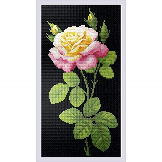 Wonderful Rose