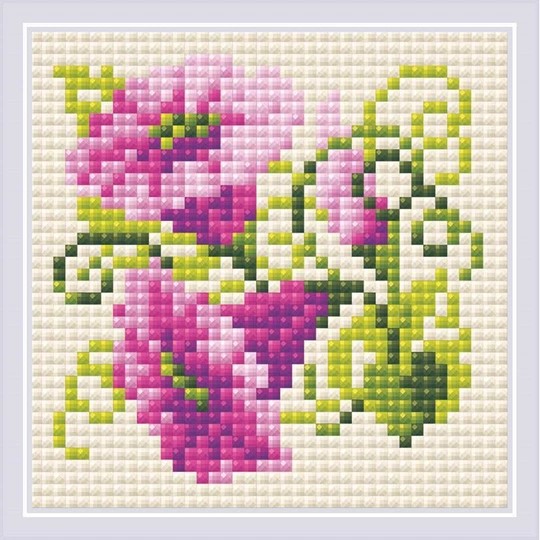 Purple Bindweed