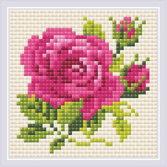 Pink Rose