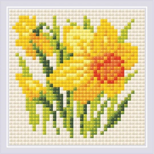Yellow Narcissus