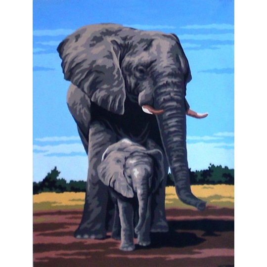 Elephants