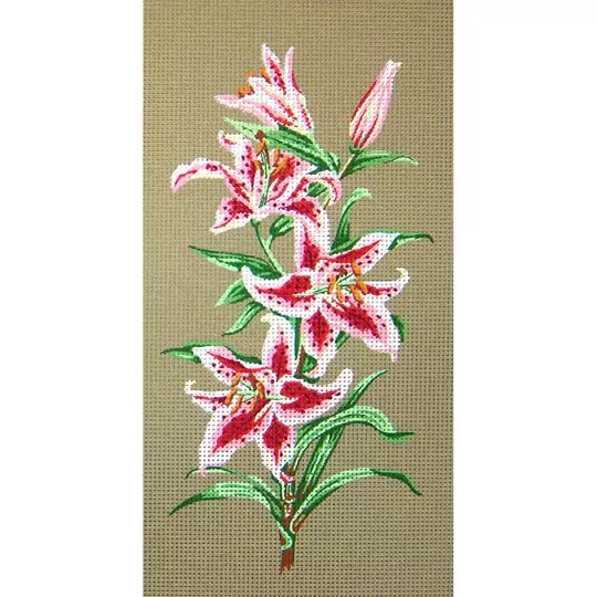 Lilies