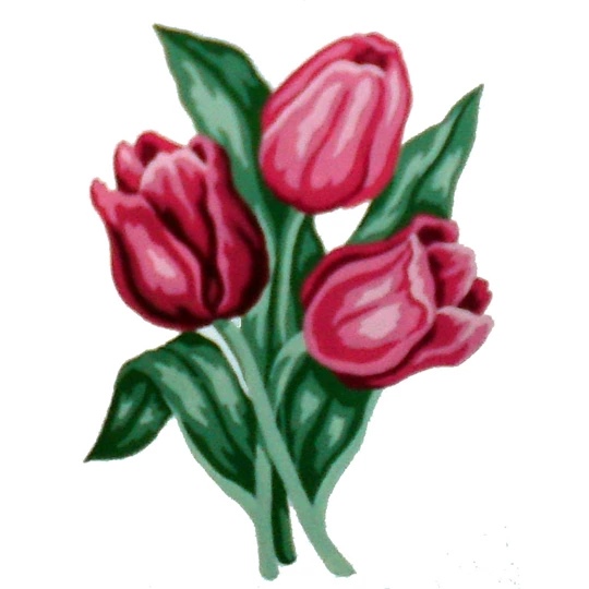 Red Tulips